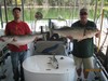 (08/25/2015) - Nice Striped Bass